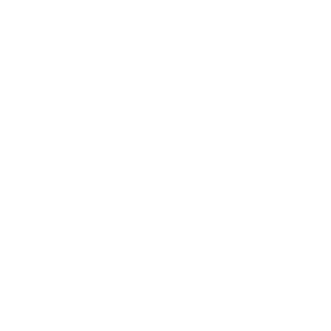 Software